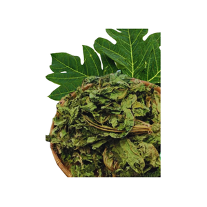 FEUILLES DE PAPAYE SÉCHÉES MEILLEUR VENDEUR FEUILLES DE PAPAYE SÉCHÉES FEUILLES DE PAPAYE BIOLOGIQUES - Product Image 1