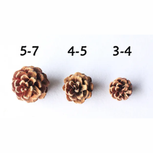 กรวยไพน์แห้งสำหรับตกแต่งคริสต์มาส,สินค้าคุณภาพสูงจากโรงงานเวียดนาม - Product Image 2