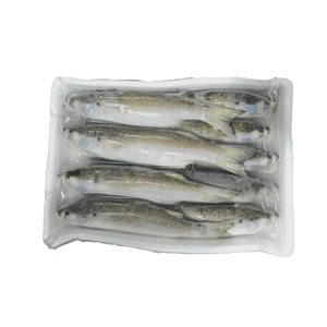 Mullet Plateado Entero Congelado IQF/BQF de Alta Calidad, Producto Pesquero de Vietnam, Empacado a Granel, 24 Meses de Vida Útil para Mercados Internacionales - Product Image 2