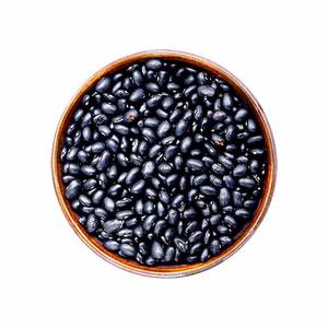 Frijoles Pinto listos para comer de alta calidad, estilo de frijoles frescos y secos, envío disponible en Tailandia - Product Image 3