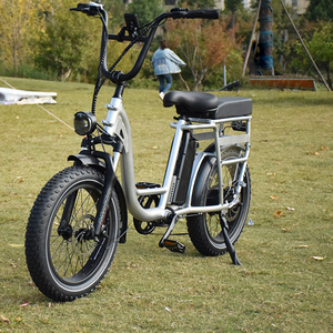 RaiderRunner-34F le <span class=keywords><strong>meilleur</strong></span> vélo Cargo électrique 20 pouces 750W 48V vélo électrique à gros pneus, vélo de ville électrique pour les familles - Product Image 6