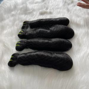 CHAUDE!!! Ombre Bouncy Bouclés 100% Cheveux Humains Bonne Qualité Bouclés Vapeur Bouclés Cheveux Bruts Trame de Cheveux - Product Image 4