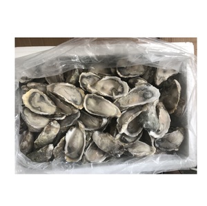 Moules bleues, coquilles de moules surgelées, style sac jaune, fraîches, moules vertes, demi-coquille d'huître avec 1 kg/boîte - Product Image 4