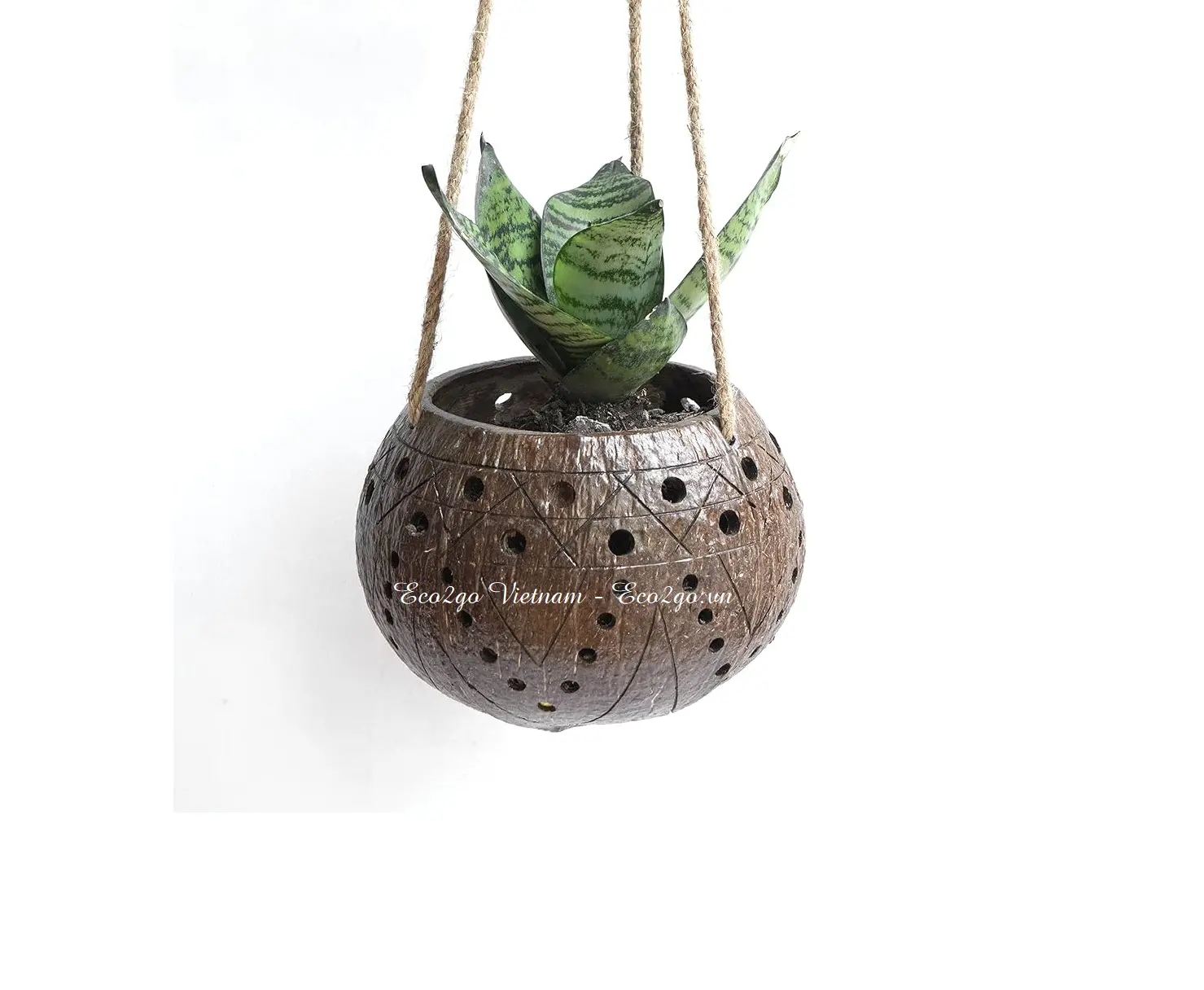 Dekoratif taman Anda dengan cangkang kelapa Pot gantung/Pot tanaman cangkang kelapa dengan tali gantung buatan Vietnam