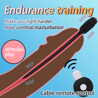 Vibromasseur pour homme, plug vibrant pour pénis, cathéter urétral en silicone, recharge USB, bâton œil-de-cheval, jouets sexuels pour adultes