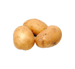 Patatas Frescas Variedad Holandesa, Pulpa Amarilla Brillante, Forma Alargada, Cosecha Reciente, Alta Calidad, Nutritivas (Solanum Tuberosum) en Venta - Product Image 4
