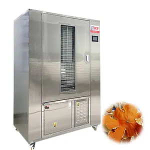 WRH-100GN cabinet trays type fruit dryer for beef sausage orange peel