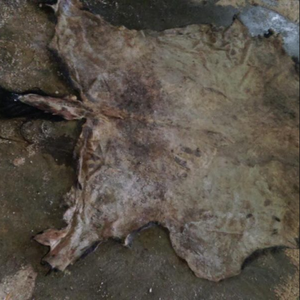 Pieles de vaca naturales enteras, tamaño grande, material de cuero genuino, pieles de ganado, piel de vaca auténtica - Product Image 2