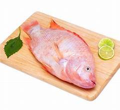 TILAPIA ROUGE CONGELÉ POISSON ENTIER PREMIUM ÉTIQUETTE PROPRE FRUITS DE MER RICHE EN PROTÉINES POUR UN RÉGIME ALIMENTAIRE SOUCIEUX DE LA SANTÉ - Product Image 5
