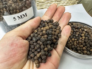 Poivre noir du Vietnam Binh Duong usine Mme Quincy Whatsapp - Product Image 3