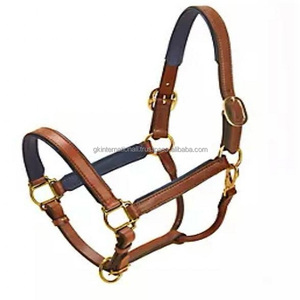 Cabestro de caballo acolchado de cuero de 1 pulgada de ancho con herrajes de latón ajustable sólido disponible en todos los tamaños y colores - Product Image 2