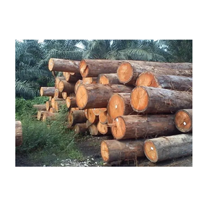 Troncos de madera Meranti | Fabricantes y proveedores de troncos de madera Meranti - Product Image 4