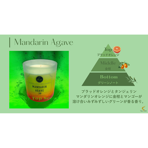 เทียนหอม JBPQ กลิ่นแมนดารินอะกาเว่ ทำด้วยมือจากขี้ผึ้งถั่วเหลือง - Product Image 3