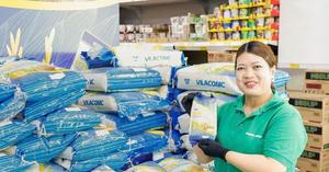 Premium 5% Arroz jazmín roto Origen de Vietnam Arroz seco blanco orgánico en paquetes de 5kg 10kg 25kg Contacto + 84-98359O9O8 - Product Image 3