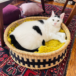 Large Size Indoor Pet Furniture Weave Seagrass Modern <b>Dog</b> House <b>Round</b> Pet Basket African Sea Grass Straw Baskets - Product Image 4