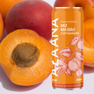 Kombucha Peachy วิตามินแอปริคอทคุณภาพดีขายส่งกำหนดเองบรรจุภัณฑ์ผลิตในเวียดนาม - Product Image 4