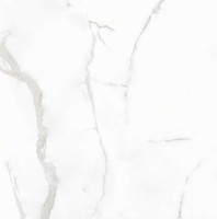 CARRARA - SHVM 600x600mm Carreaux en grès cérame numérique vitrifié en surface polie par Novac Ceramic en qualité supérieure