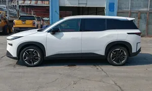 2025 BZ-Z3X ชุดแต่งหลังคาโลหะอัตโนมัติ เบาะหนัง แบตเตอรี่ลิเธียม คุณสมบัติระดับพรีเมียม ระยะทางวิ่ง 601-700 กม. มอเตอร์ 200-250 กิโลวัตต์ - Product Image 6