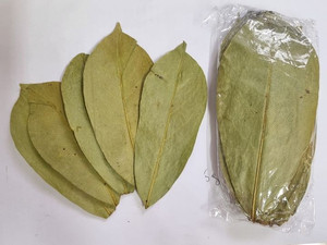 Vietnam Récolte Durable Naturel Feuilles De Corossol Séchées Feuilles D'herbes Sauvages En Gros En Vrac Thé Cueilli À La Main Emballage Sous Vide - Product Image 4