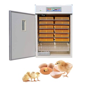 Incubadora de Huevos Totalmente Automática de Alta Calidad - Product Image 1