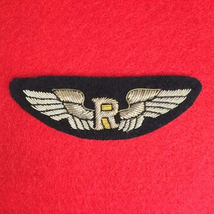 Écussons d'aviateur Riddle Airlines en argent massif - Product Image 2