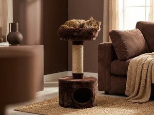 Casa para Gatos Fiona Chocolate Dream con Espacio Acogedor para Escurrirse - Product Image 3