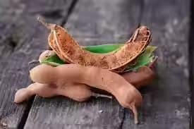 มะขามเปียกส่งออกจำนวนมากจากอินเดียสำหรับร้านอาหารการแปรรูปอาหาร - Product Image 4