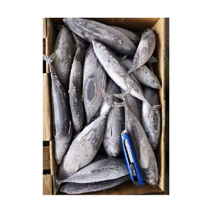 Sardines fraîches au prix d'usine disponibles pour les acheteurs mondiaux et les commerçants en produits de la mer - Product Image 1