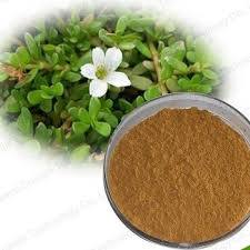 ถุงกลอง40% Bacopa monnieri ผงเรซินสมุนไพรออร์แกนิกเกรดอาหารฮาลาลที่ได้รับการรับรองฮาลาล - Product Image 2