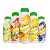 Bouteille de boisson Energy Nutriboost 350ml X 24 canettes/paquets-Échantillon sans caféine élevé-Fabrication de boissons gazeuses-OEM de marque privée