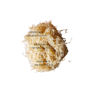 Musgo de mar puro salvaje de Vietnam y musgo de mar irlandés dorado a precios asequibles para su salud - Product Image 3