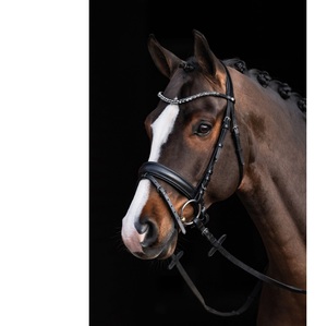 Brida de cuero - Product Image 5