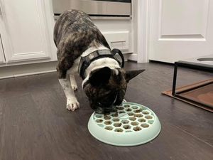 <b>Silicone</b> licking <b>mat</b> slow feeding <b>mat</b> promotes calmness improves digestion safe non slip base dishwasher safe for dogs and cats - Product Image 5