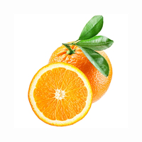 Jeruk Mandarin Valencia Matang Segar Berkualitas Tinggi Grosir Asal AS dengan Umur Simpan 1 Tahun