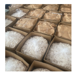 Noix de coco séchée du Vietnam pour les marques de snacks aux fruits par Trusted Exporter 99 Gold Data Noix de coco séchée - Product Image 6