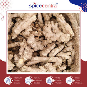 Jengibre de Maharashtra Puro, Entero, Crudo y Seco de la Mejor Calidad a Bajo Precio para Cocinar, Duración de 12 Meses, Spicecentra Personalizable - Product Image 6