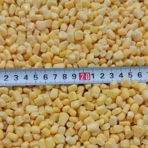 ข้าวโพดหวานเวียดนามออร์แกนิกแช่แข็งแบบ LQF บรรจุภัณฑ์สุญญากาศแบบเม็ด บรรจุภัณฑ์แบบขายส่ง ผักบรรจุภัณฑ์แบบเป็นชุด - Product Image 5