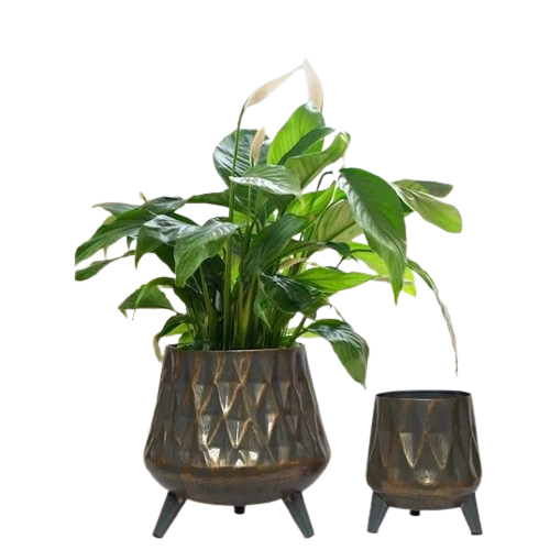 Adapté aux besoins du client