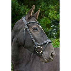 Caballo ANATOMICA CRISTAL Brida BEBÉ AZUL LUZ ZAFIRO BLING GLISTEN Forma Curva - Product Image 5