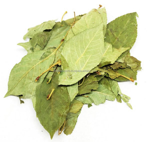 Prunus avium ngọt Anh đào lá karonda Lá Anh đào Hoang Dã khô nguyên liệu thảo dược bán buôn Nhà Máy chiết xuất sản phẩm thảo dược - Product Image 3