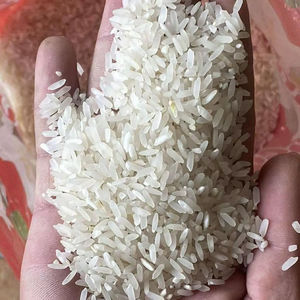 Riz blanc à grains longs 100% brisé au meilleur prix - Riz SagimicBulk disponible à des prix compétitifs, idéal pour les grossistes - Product Image 1