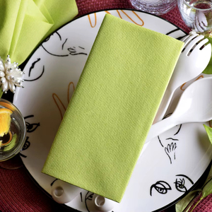 Kiwi Vert Lin-Feel Airlaid Bookfold Dîner Serviettes Jetable Tissu Invité Serviettes Partie Prêt Carton Emballé USA Expédition - Product Image 1