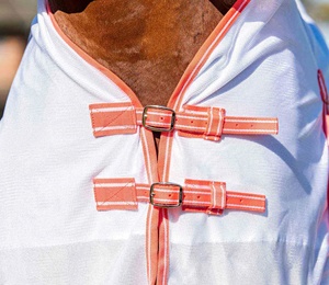 OEM Equestrian Complete Horse Fly Sheet Set Ganzjahres-Ripstop-Mesh-Teppich mit Insekten schutz Langlebige Pferde bekleidung und-ausrüstung - Product Image 3