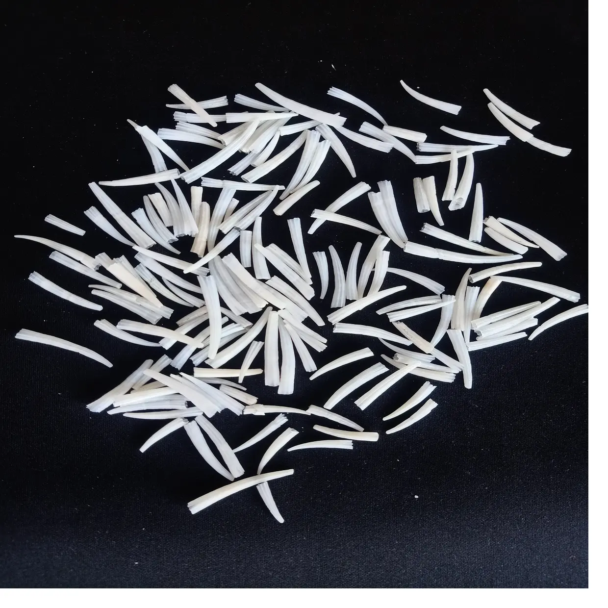 natural dentalium slightly ridged shells suitable for aboriginal and native jewelry designers and suitable for resale