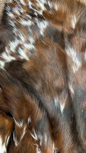 Piel de vaca brasileña tricolor natural de primera calidad - Product Image 2