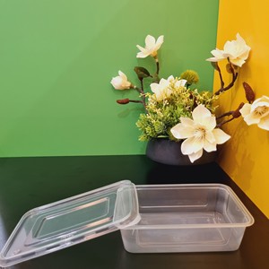 Proveedor de gama alta para llevar 550 650 750 1000ml Recipiente de comida de plástico desechable rectangular transparente con tapa al mejor precio - Product Image 6