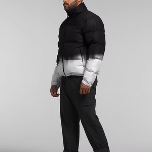 Stylish <b>Men's</b> Winter <b>Puffer</b> <b>Jacket</b> Waterproof Lightweight Hooded Collar Front Logo Letter Pattern for Outdoor OEM Factory Export - Product Image 2