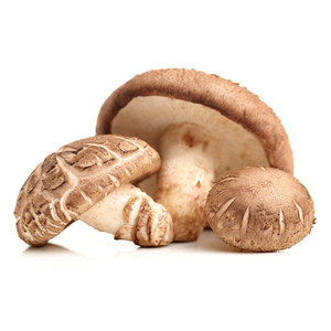 Fungo <span class=keywords><strong>Shiitake</strong></span> crudo congelato e essiccato delizioso sano