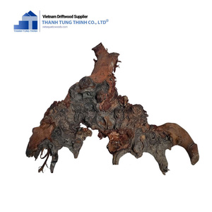 Madera Flotante de Alta Calidad para Acuarios, Venta al por Mayor de un Fabricante Vietnamita - Product Image 3