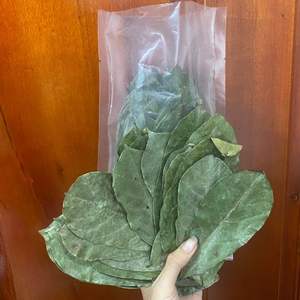 ใบฝรั่งแห้ง ใบกราเวียโลล่า ใบฝรั่งแห้งธรรมชาติ-ใบฝรั่งแห้งออร์แกนิคธรรมชาติ-ใบอันโนน่า มูริคาต้าแห้ง - Product Image 3